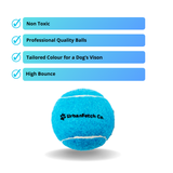 Urban Fetch - Squeaker Tennis Balls