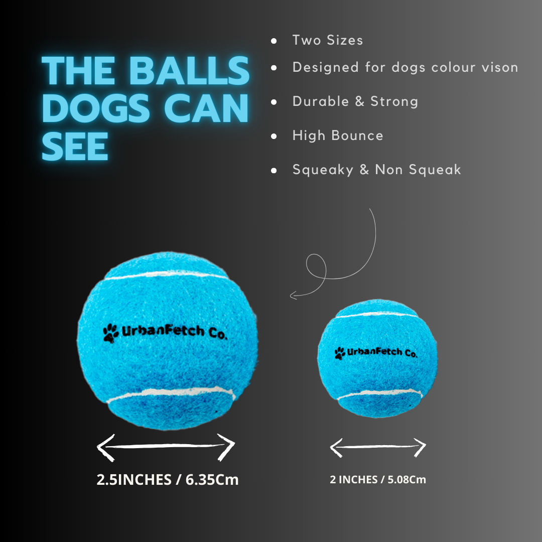 Pink tennis balls for dogs best sale