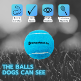 Urban Fetch - Squeaker Tennis Balls