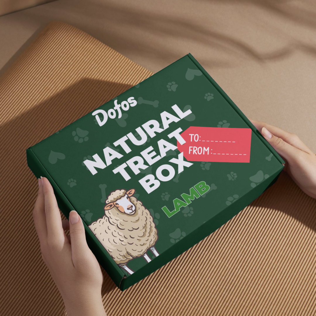 Natural Dog Treat Box