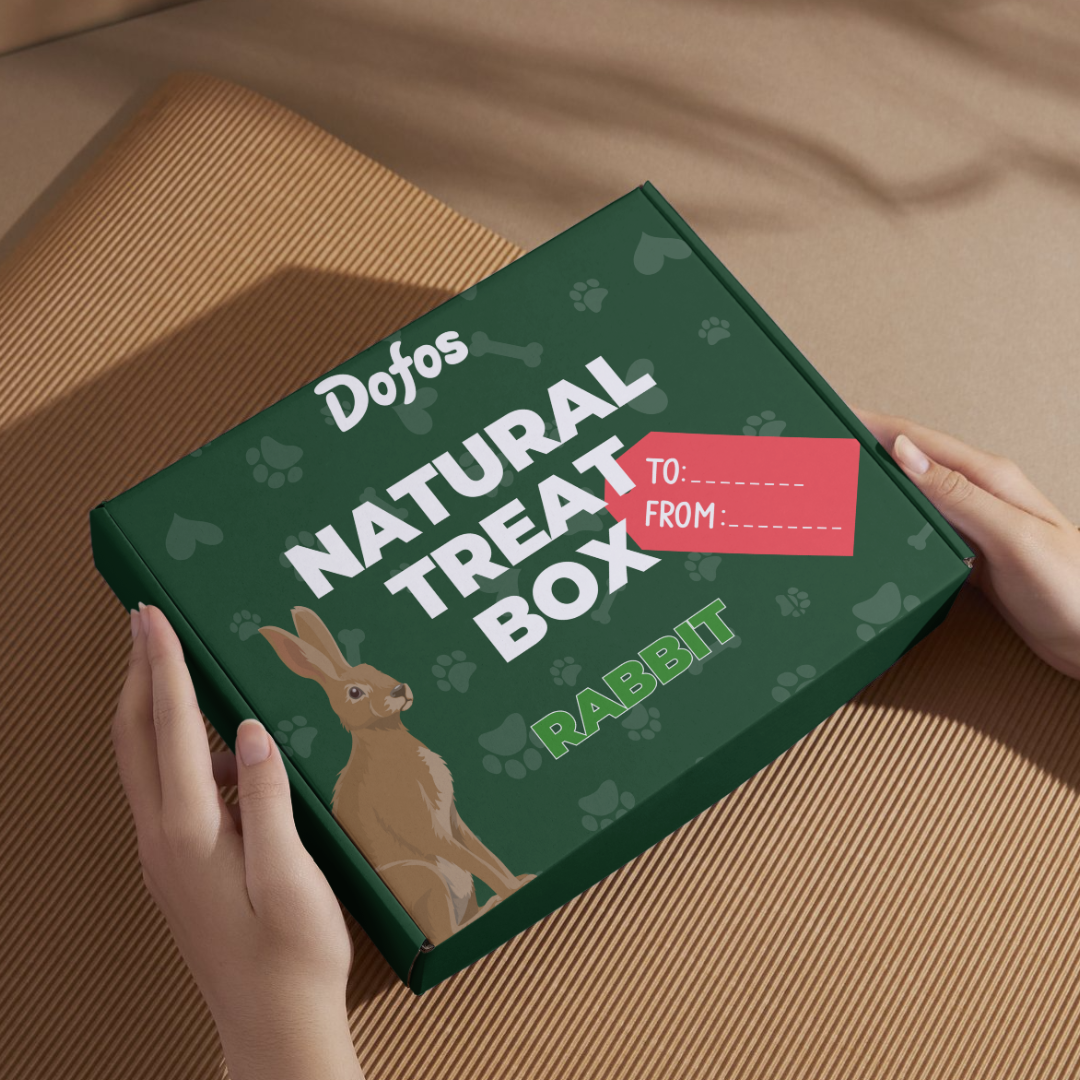 Natural Dog Treat Box