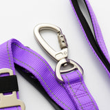 RunRuff - Dog Leash with Bungee