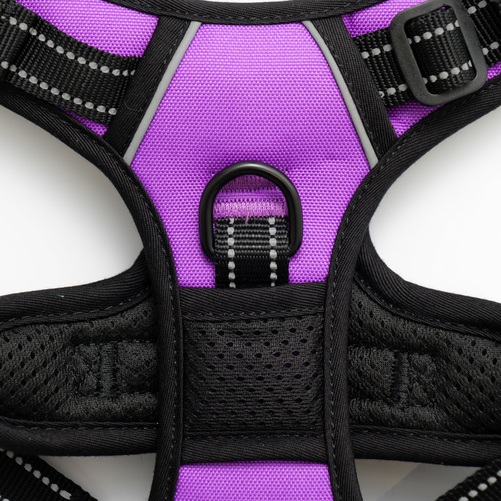 RunRuff - Active Harness