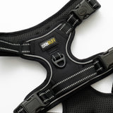 RunRuff - Active Harness