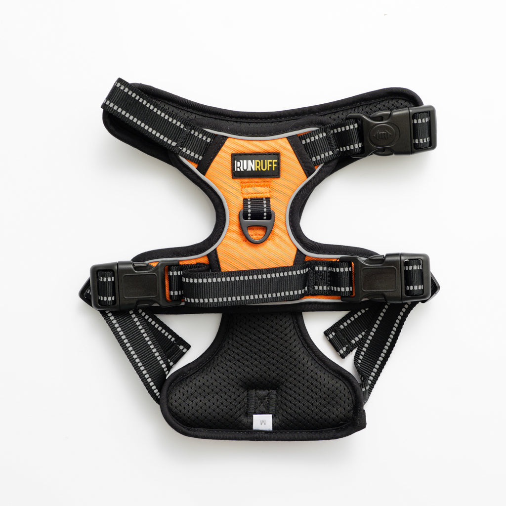 RunRuff - Active Harness