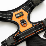 RunRuff - Active Harness