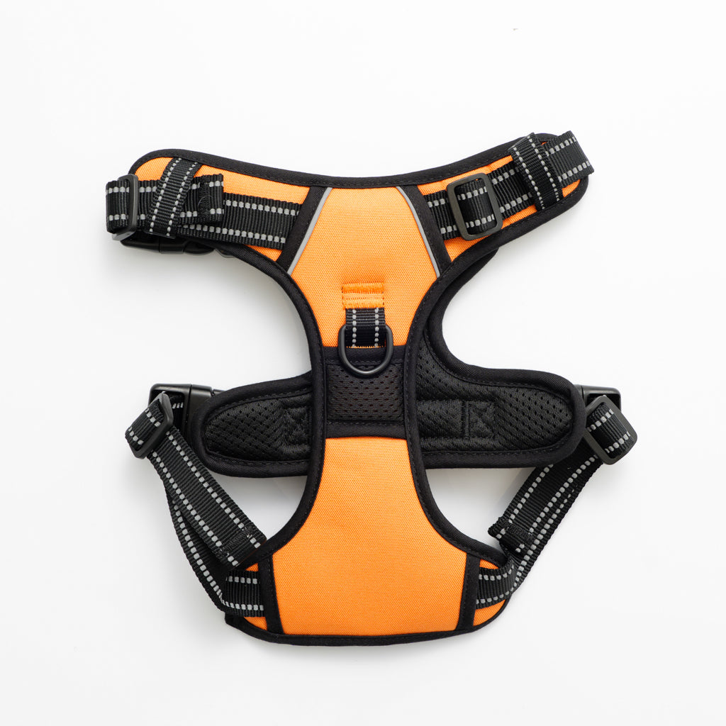 RunRuff - Active Harness