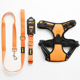 RunRuff Complete Set - Orange