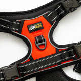 RunRuff - Active Harness