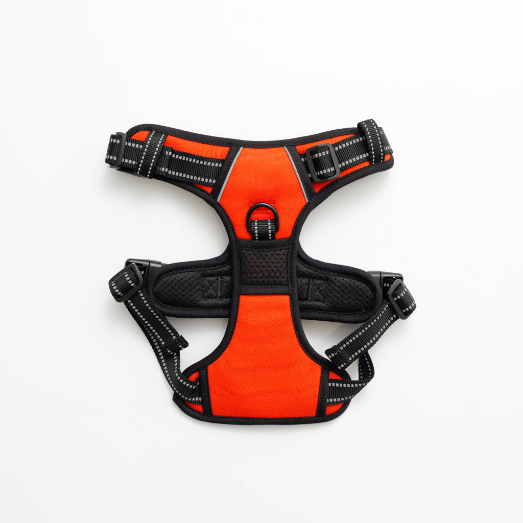 RunRuff - Active Harness