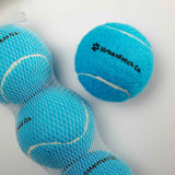 Urban Fetch - Squeaker Tennis Balls