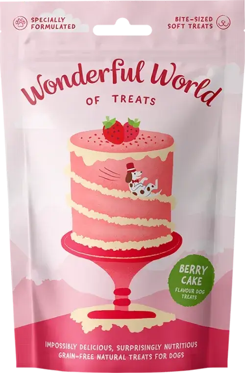 Wonderful World of Treats