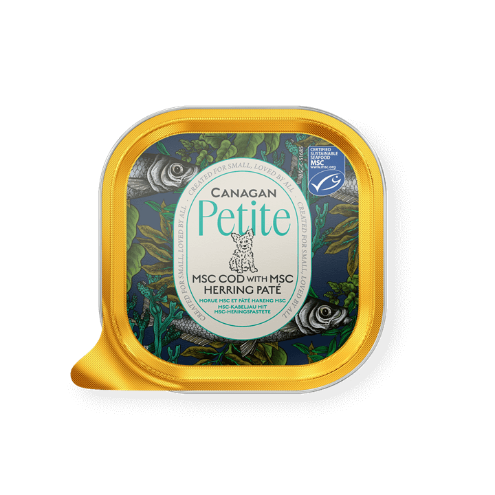 Canagan Petite Paté 100g