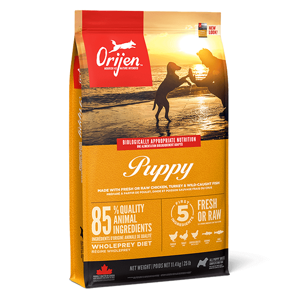 Orijen Grain Free Puppy Food