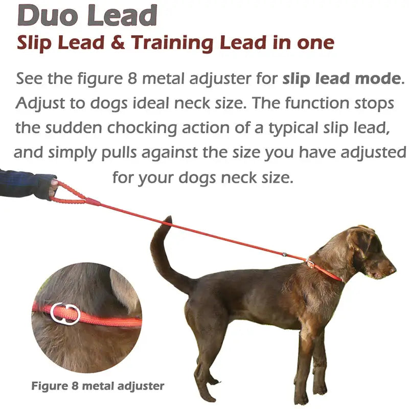 Slip Dog Lead with Figure 8 Training Aid