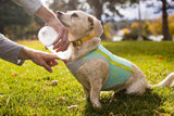 Ruffwear Swamp Cooler Zip™ Vest