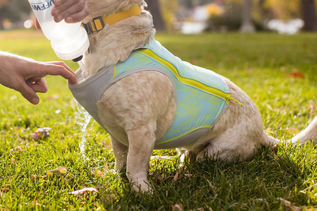 Ruffwear Swamp Cooler™ Harness