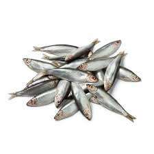 Nutriment Frozen Sprats 1kg-Raw Treat-Nutriment-Dofos Pet Centre