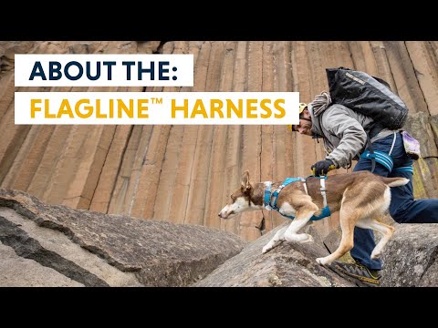 Ruffwear Flagline™ Harness