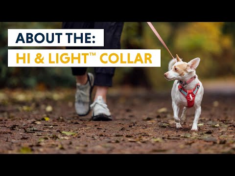 Ruffwear Hi & Light™ Collar