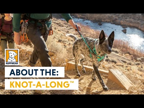 Ruffwear Knot-a-Long™ Leash