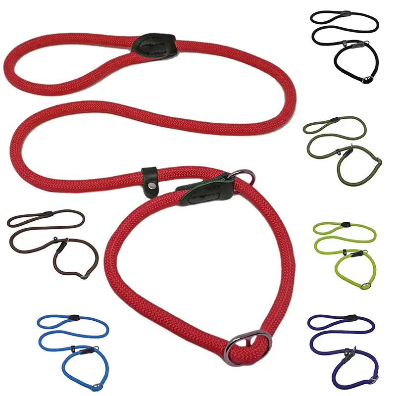 Slip Dog Lead with Figure 8 Training Aid