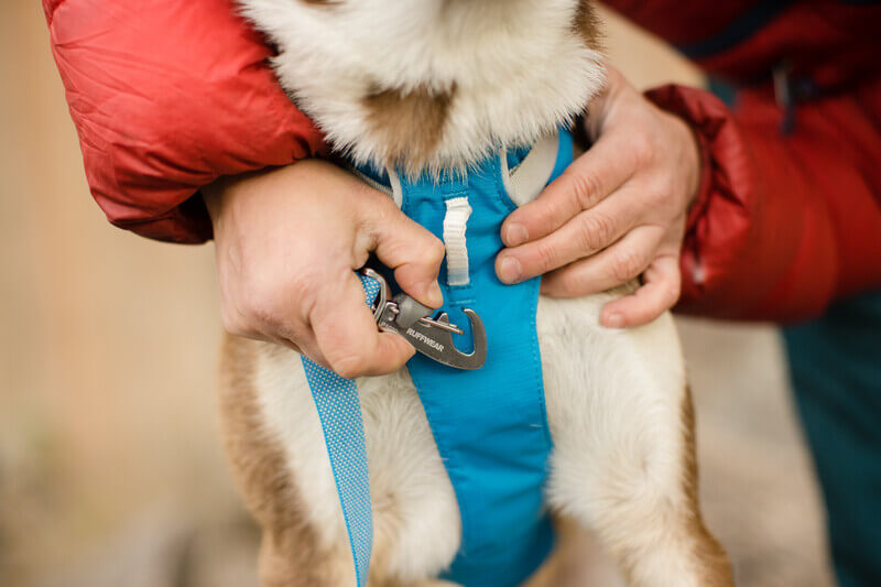 Ruffwear Flagline™ Harness