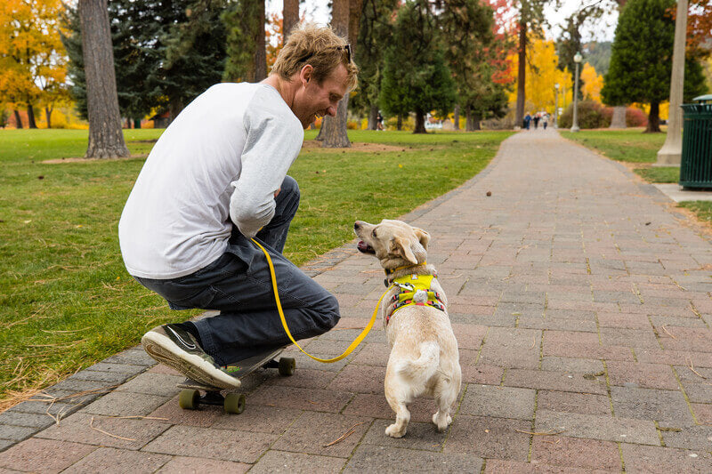 Ruffwear Flagline™ Harness